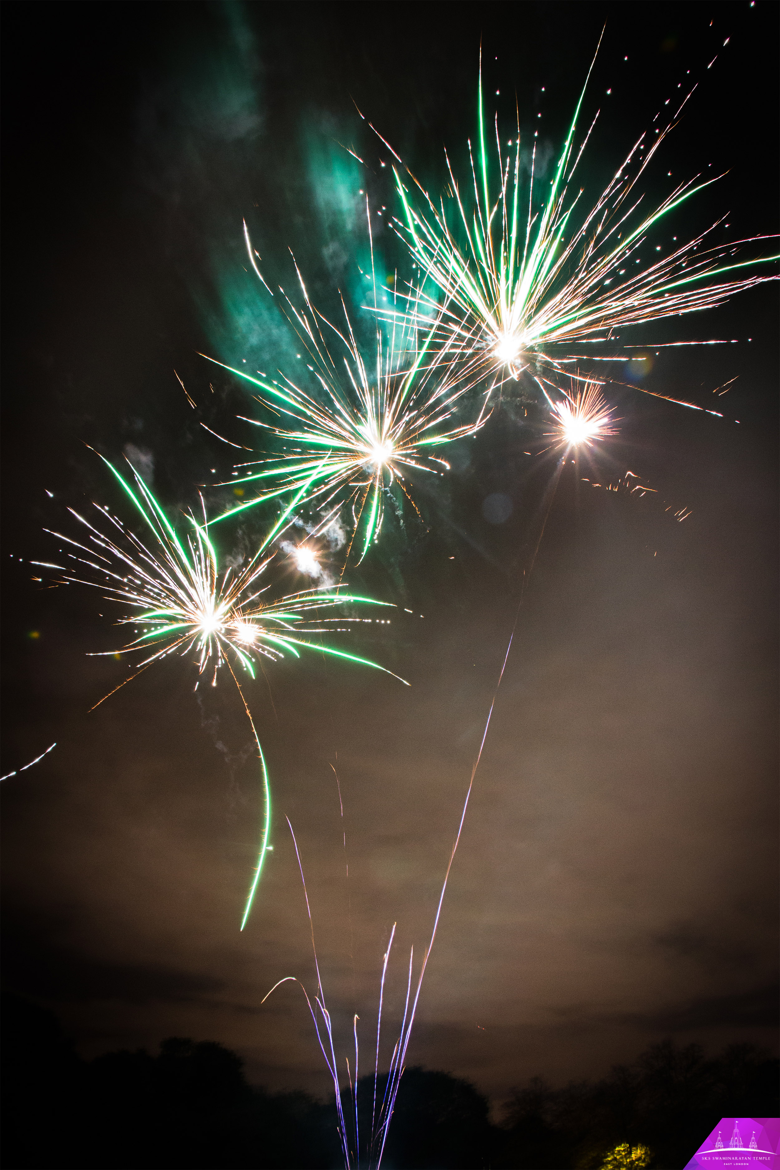 ©1987-2017 SKS Swaminarayan Temple East London